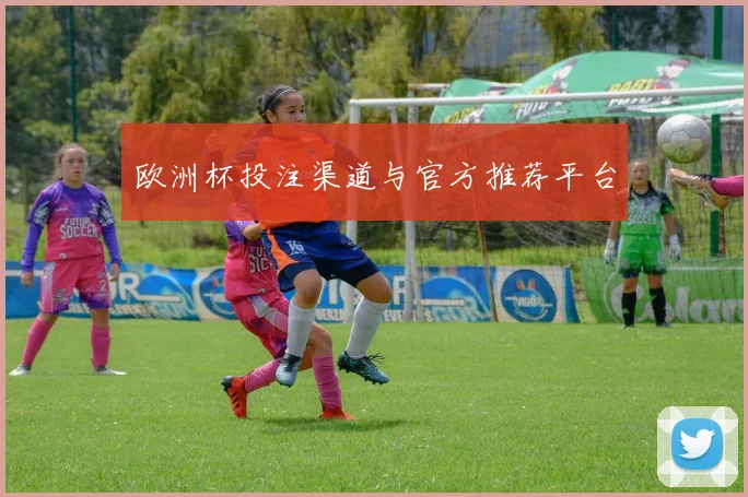 欧洲杯投注渠道与官方推荐平台