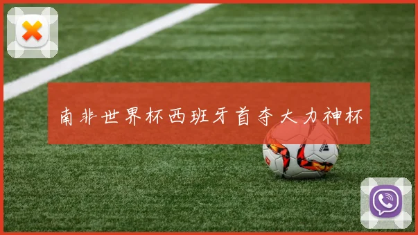 南非世界杯西班牙首夺大力神杯