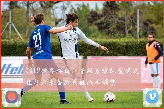 2019世界杯南非夺冠后球队重建进程与未来备战关键战术调整