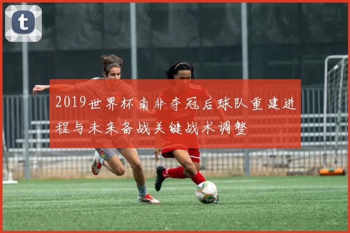 2019世界杯南非夺冠后球队重建进程与未来备战关键战术调整